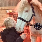 L'HILTON STALLION