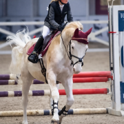 L'HILTON STALLION