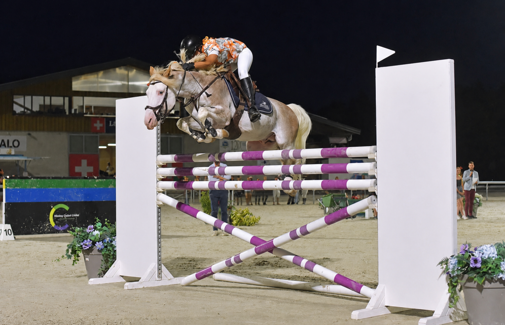L'HILTON STALLION