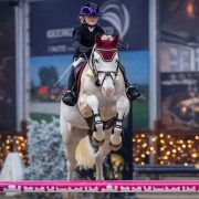 L'HILTON STALLION