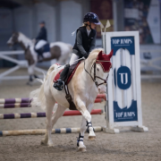 L'HILTON STALLION