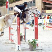 L'HILTON STALLION